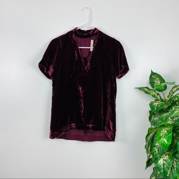 Madewell Tops - Madewell Velvet Chocker Short Sleeve Top